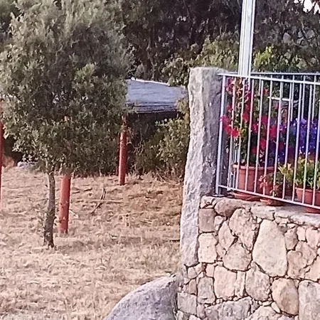Lu Corru Biancu *
